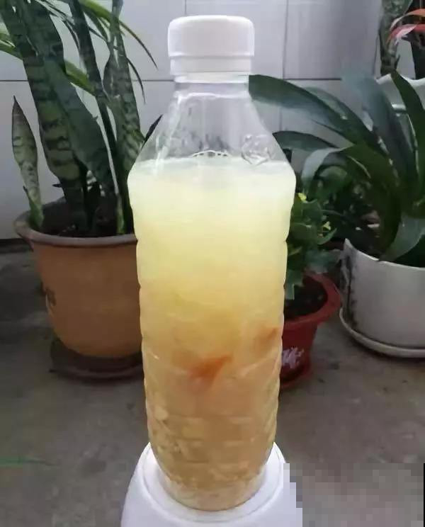 这种常见水可别随便往花上浇，不要花死了可别哭，莫怪没提醒你！