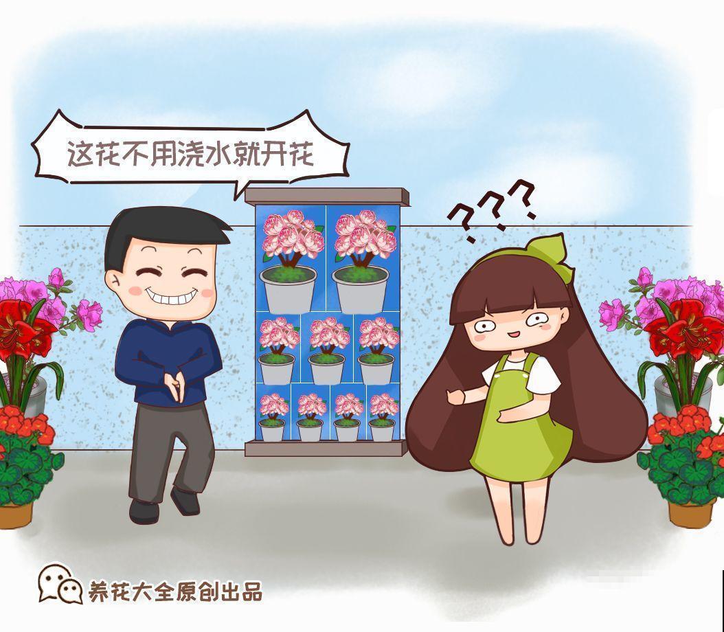 买花听到这4句话，掉头就走，不然坑的就是你！