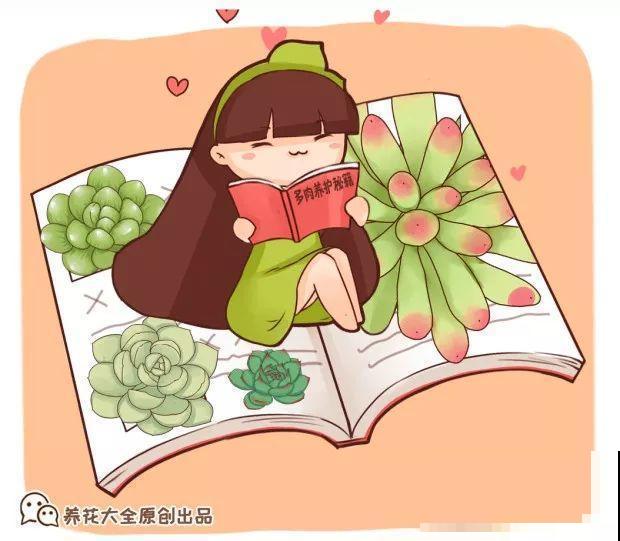 多肉养护大总结，这7点学会了，啥肉都能养得活！
