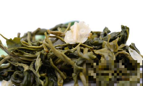 幸福树这样养，浇浇水施施肥，新芽蹭蹭往上长！