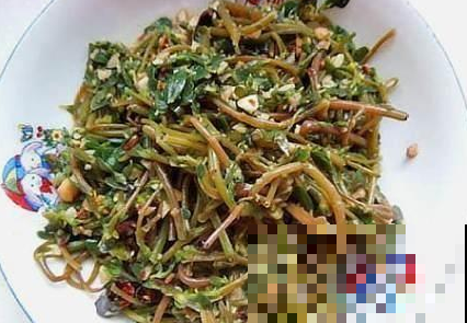 这几大野草，懂的人拿它当个宝，不懂的人当杂草！