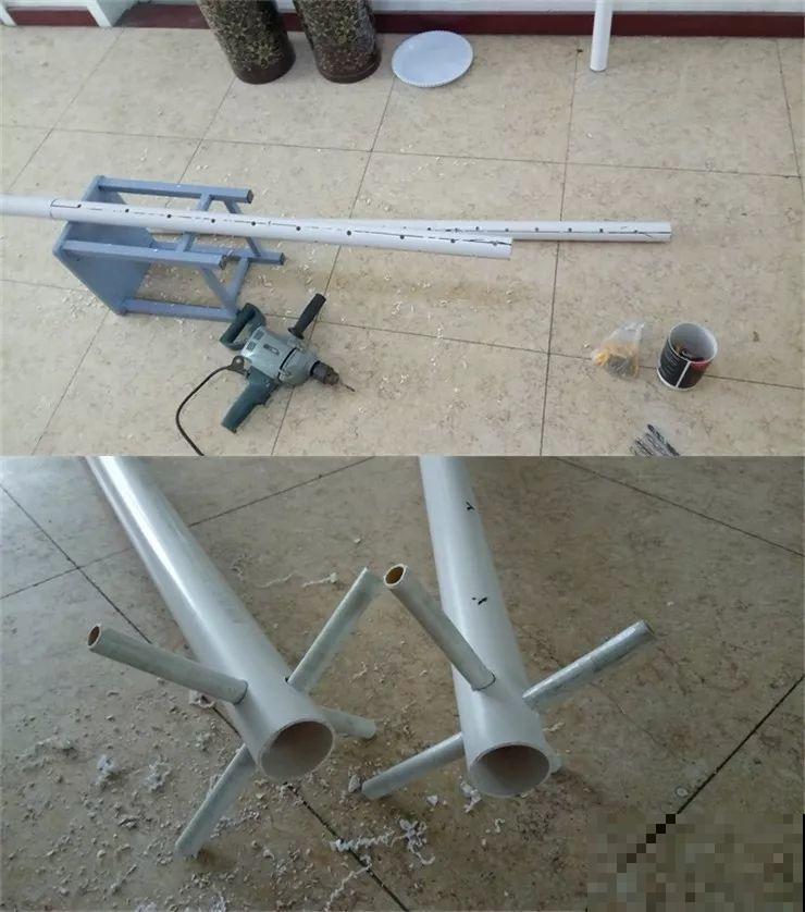 这8种花，拿棍子一绑凹个造型，身价嗖嗖往上翻！