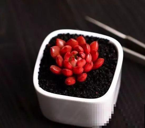 他辞职在家建多肉大棚，最后欠了一屁股债，到底为啥？