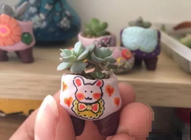 抢了侄子的橡皮泥，竟然拿去做花盆，比买的还好看！