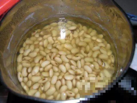 君子兰施肥就用它，盆里埋一点，叶子绿得直滴油！