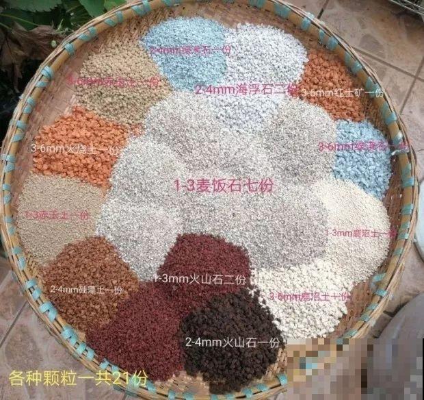 多肉养护大总结，这7点学会了，啥肉都能养得活！