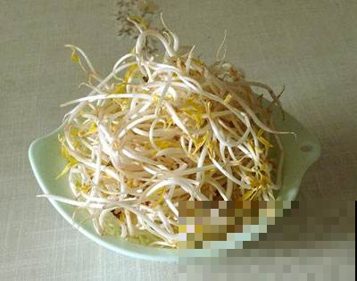 想吃豆芽？雪碧瓶就能做，方便省钱，不用一周就搞定！