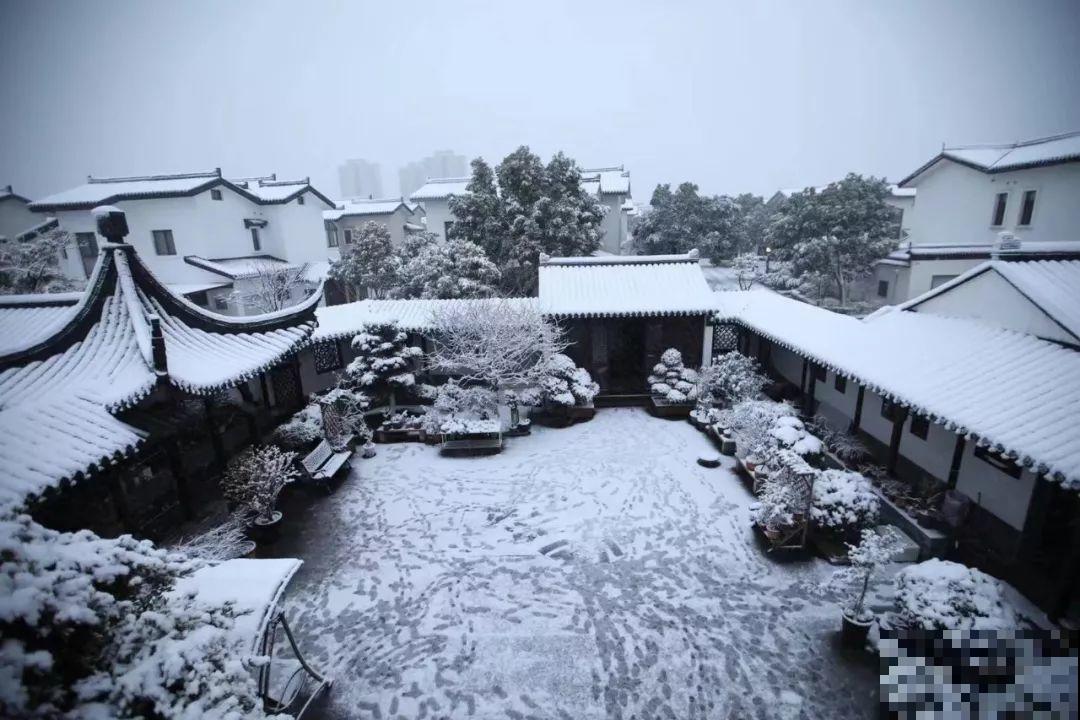愿老来有个小院，养花种草，做一个幸福的养花奴！
