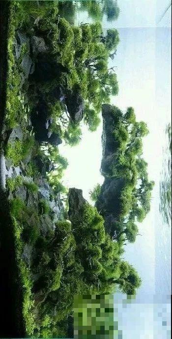 夏天就得养它，扔水里长一缸，7天美成一幅画！