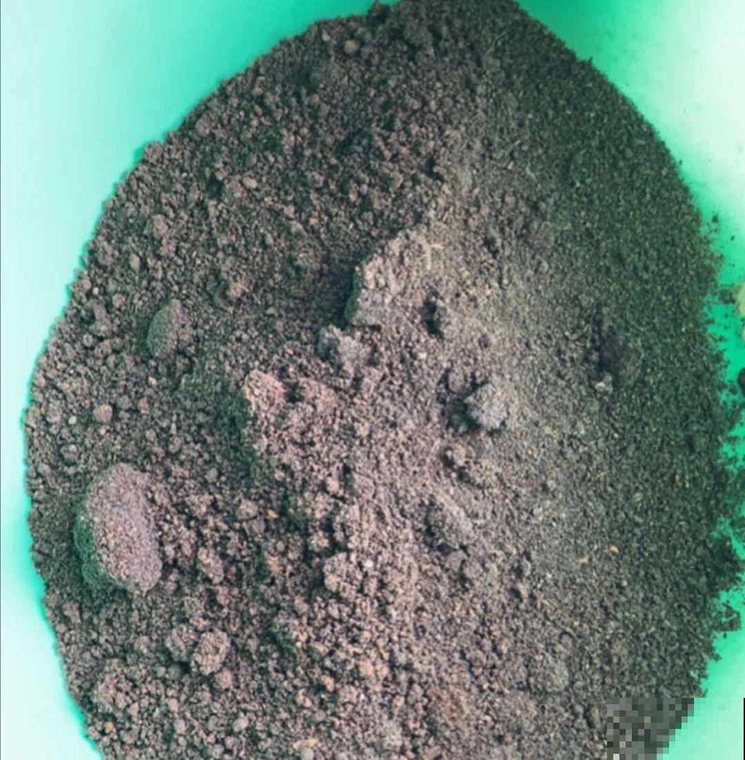 秋天必养的花，堪称活香水，养1盆香味飘10里！