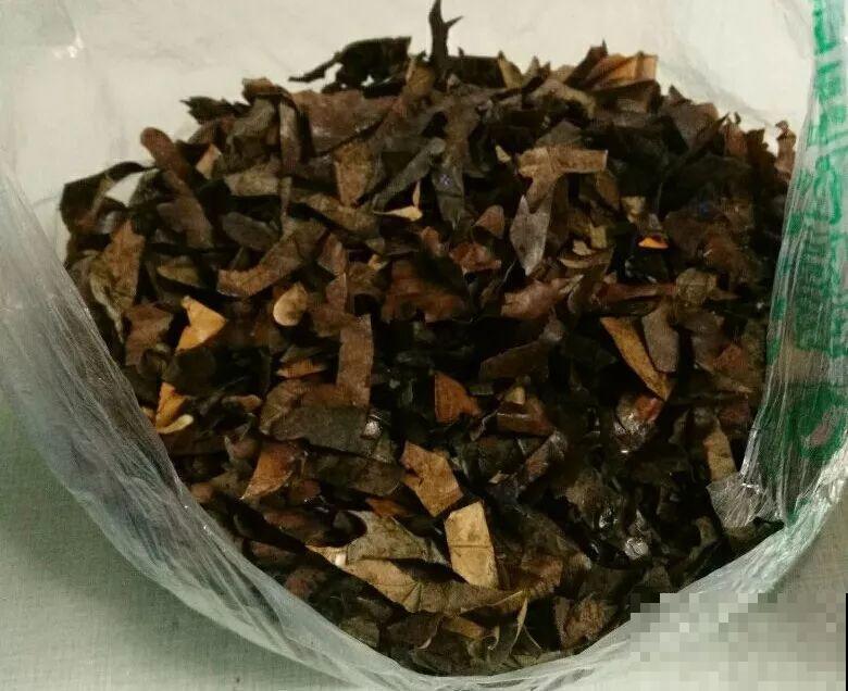 土里加点料，找个袋子捂一捂，秋天给花用了疯长狂开花！