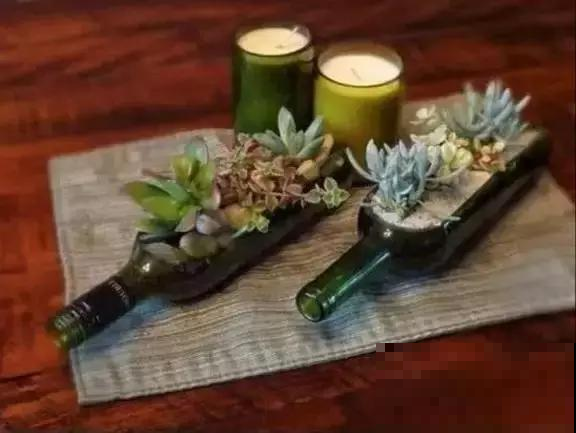 酒瓶子扔了真是傻瓜，这么一弄立马身价蹭蹭长，种花美上天！