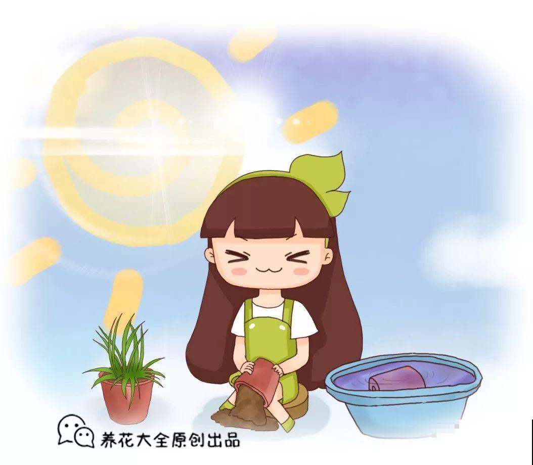 土里加点料，找个袋子捂一捂，秋天给花用了疯长狂开花！