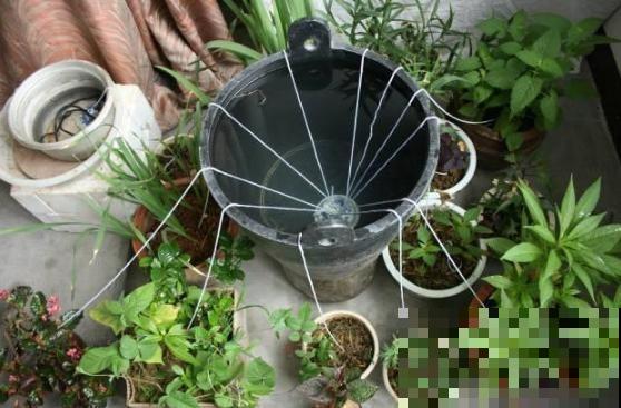 给花安个浇水神器，放心出门度假，再也不怕缺水萎蔫了！