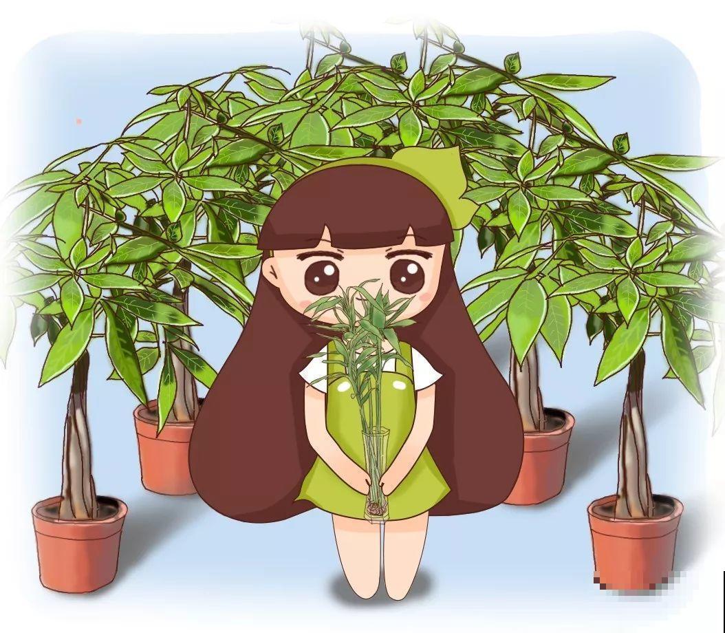 3种便宜花，被爷爷辫成辫子，颜值飙升秒变艺术品！