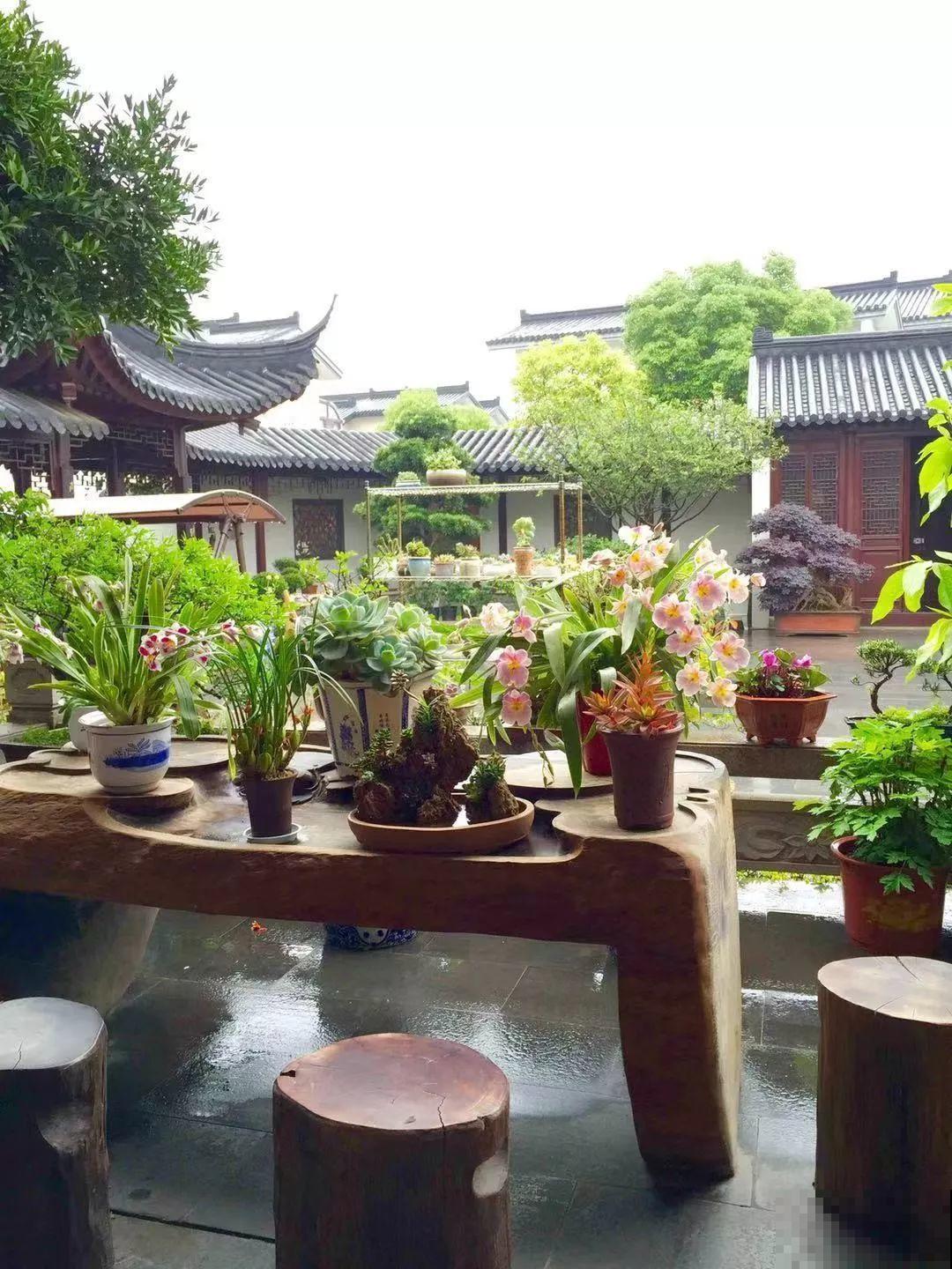愿老来有个小院，养花种草，做一个幸福的养花奴！