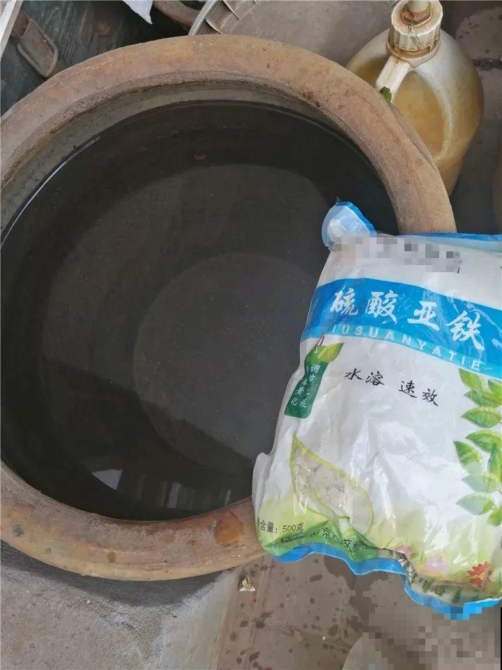 这10种花，年年收空盆，没点经验还真不敢养！