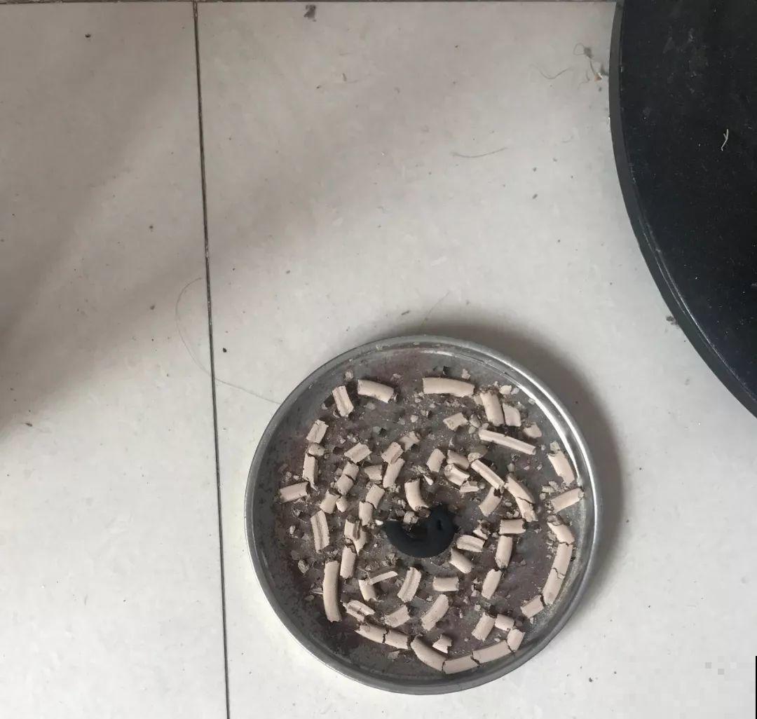 1把蚊香灰撒盆里，虫子全死光，花越长越壮！