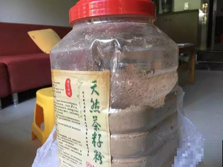 给花喷点它，蚂蚁蜗牛全杀死，家里再也不招虫！