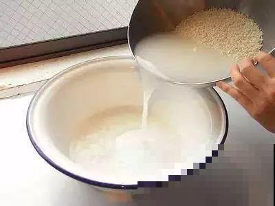 养花就怕乱浇水，这4种水浇得越多，死得越快！