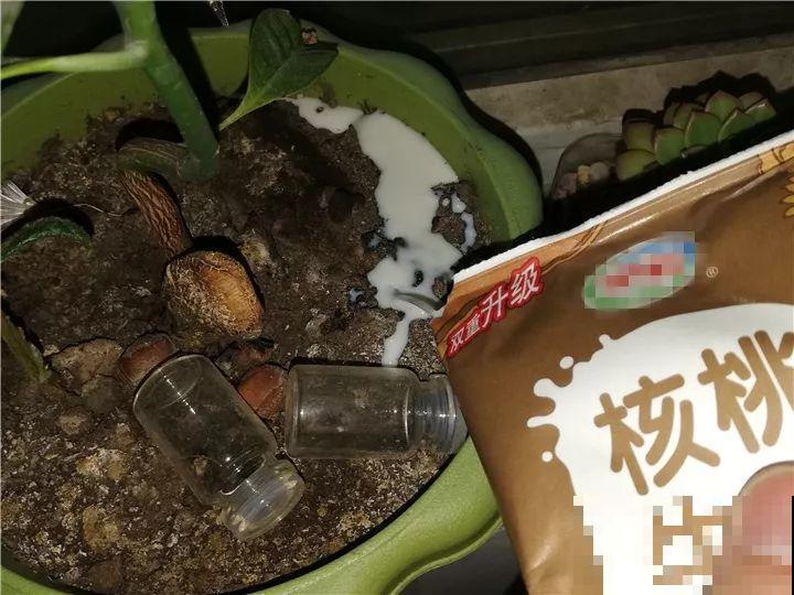 10个养花的坏习惯，赶紧改，不然真是浪费钱！