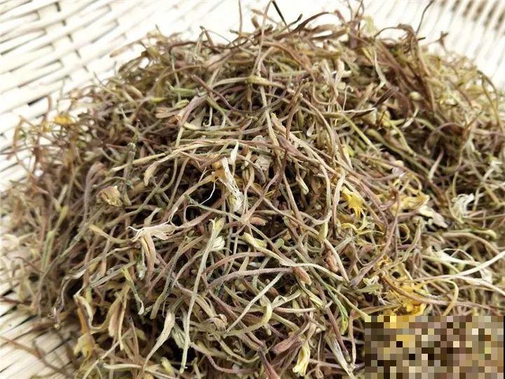 6种花越养越健康，晒干了还能卖钱，不养真的亏大了！