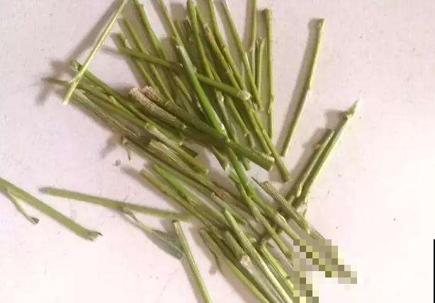 路边捡根不起眼的树枝，剁碎泡水灌花盆里，再蔫的花也能焕发青春