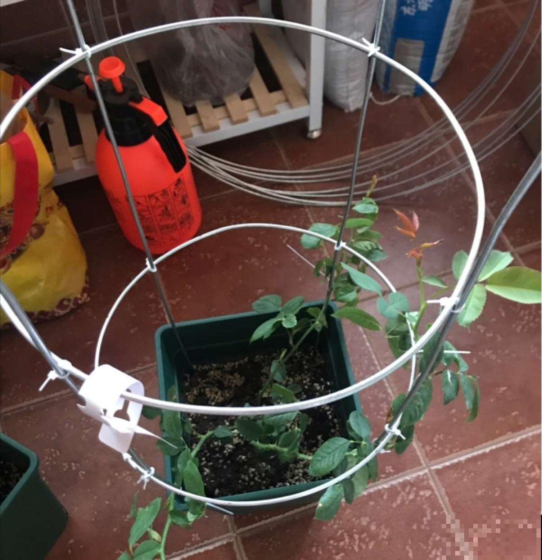 院子没有，自己动手改造一下小露台，花园梦还是可以实现的！