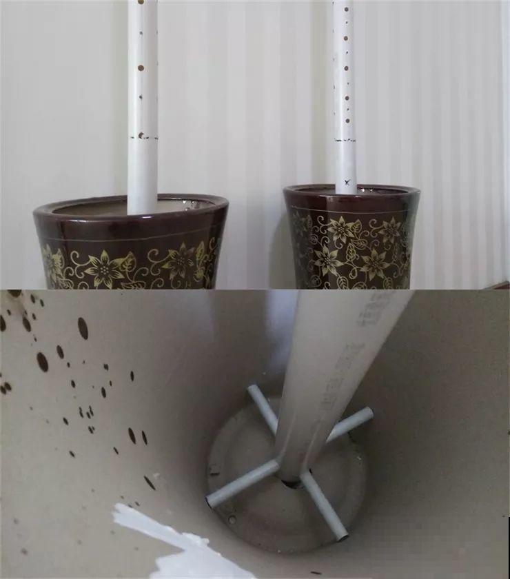 这8种花，拿棍子一绑凹个造型，身价嗖嗖往上翻！