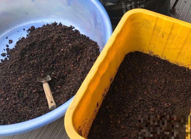 土里加点料，找个袋子捂一捂，秋天给花用了疯长狂开花！