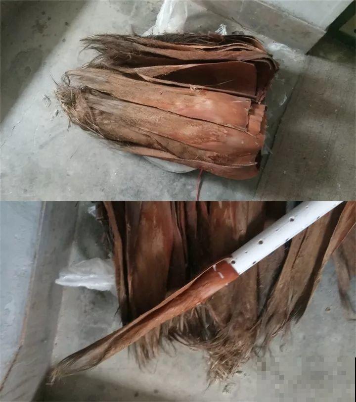 这8种花，拿棍子一绑凹个造型，身价嗖嗖往上翻！