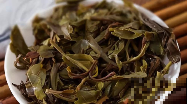 喝完茶叶顺手倒花盆里，叶子嗖嗖往外冒，再也不干尖黄叶
