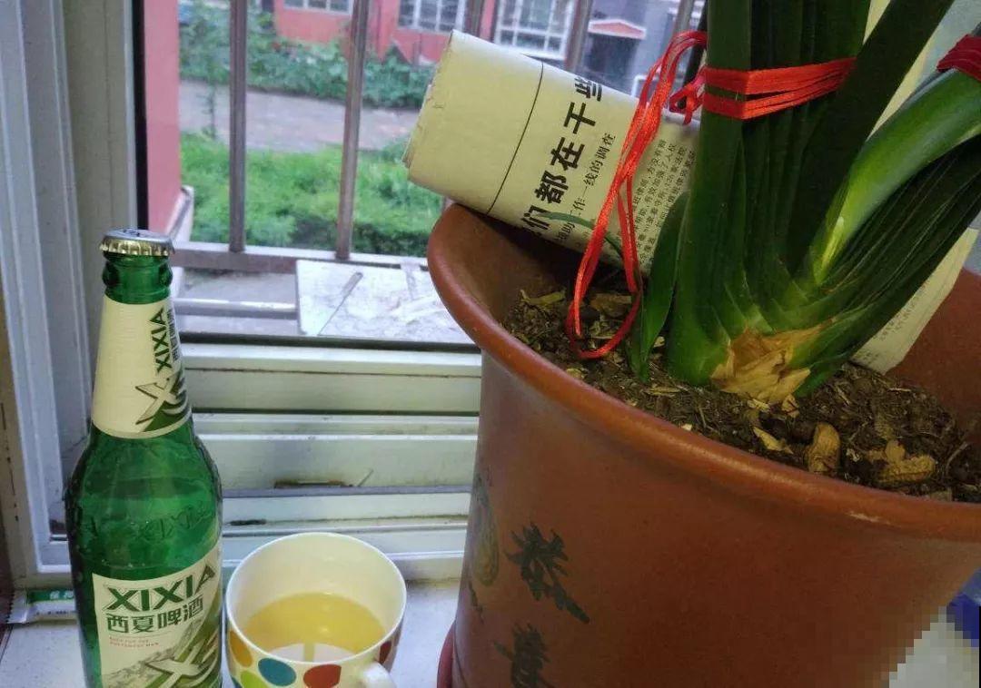 养花就怕乱浇水，这4种水浇得越多，死得越快！