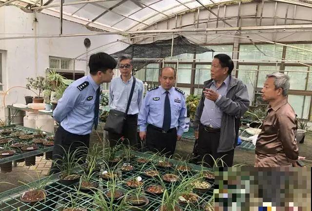 50多盆名贵兰花，一夜被盗，气人的偷花贼！