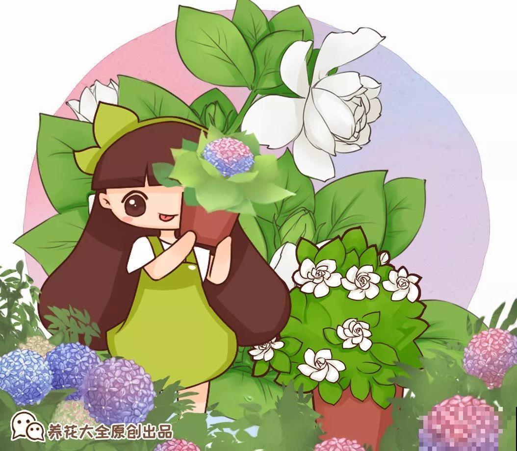 8月养花，头等大事就是修剪，剪的及时，明年坐等爆花！