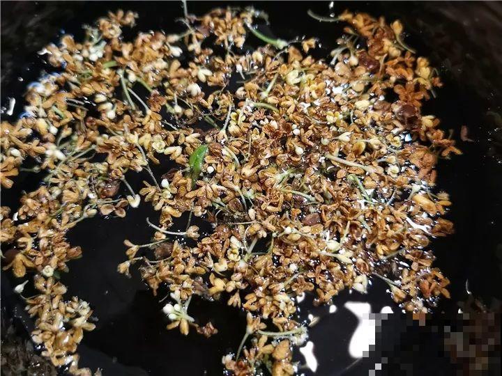 6种花越养越健康，晒干了还能卖钱，不养真的亏大了！