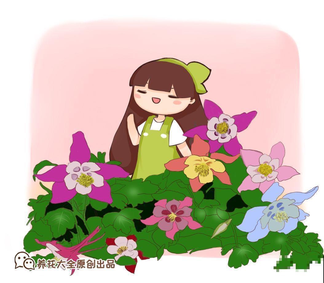 这花开得像是小风铃，一串接一串，好养好看，年年还能结种子！