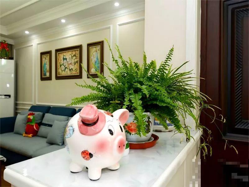 啥花都放在阳台养？位置摆不对，显得乱还没空落脚！