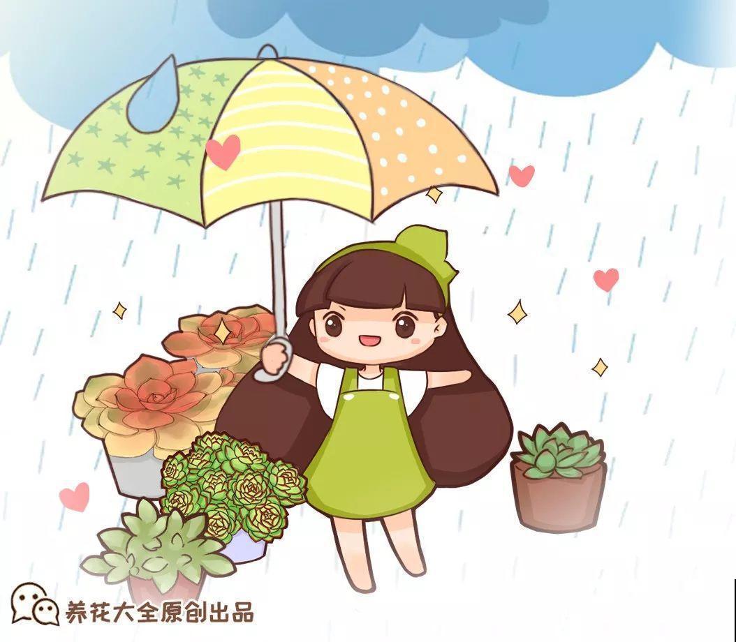 这6种花都有一个不能淋雨的习惯，长斑不说，整株都会烂掉！