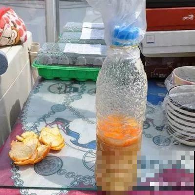 养花就怕乱浇水，这4种水浇得越多，死得越快！
