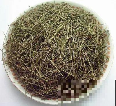 多肉即将睡醒，“大餐”备好了没？不花钱的肥料有的是！