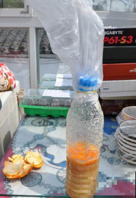 三伏天过了赶紧施肥，这种豆浆渣是花的最爱，吃一撮就窜2米！