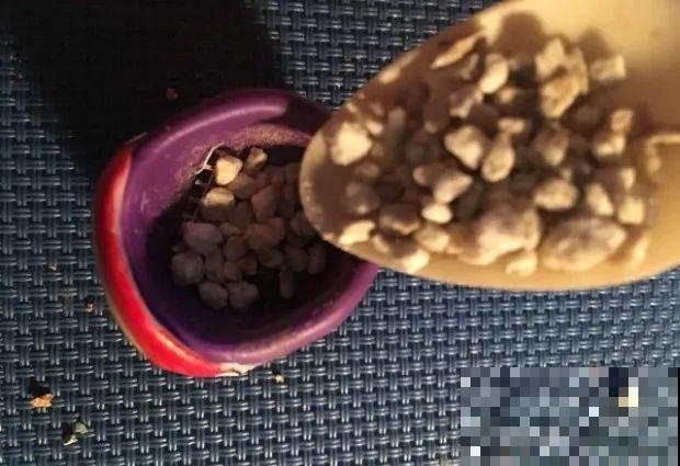 抢了侄子的橡皮泥，竟然拿去做花盆，比买的还好看！