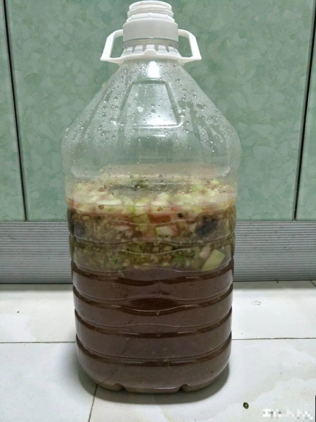 给花砍1刀，10天爆出20个芽，揪下一个，插土里就活！