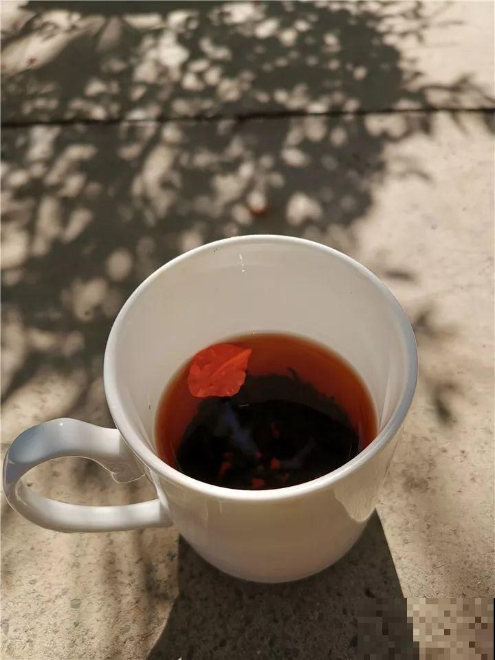 老了以后能干啥？有个小院种种花，悠闲自在！