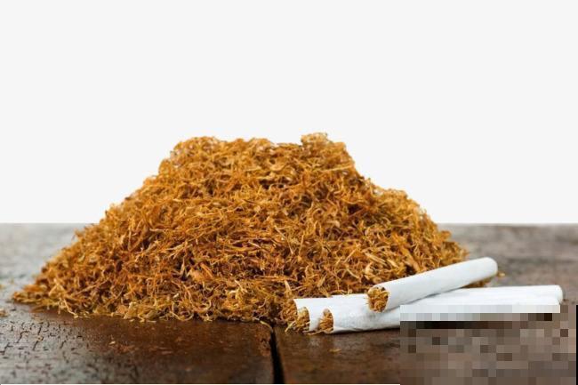 没有什么虫子是大蒜解决不了的，如果有，那就再加点烟丝！