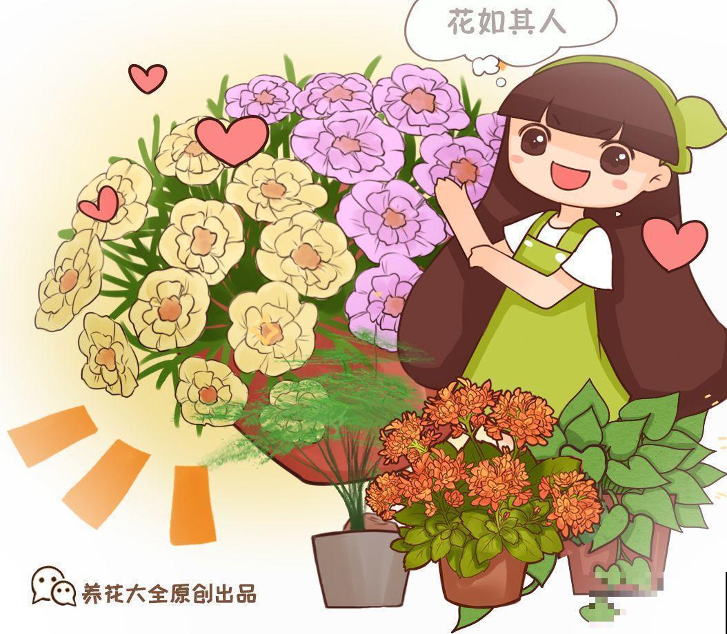 人和花都是相通的，看你养的花，就知道你是什么性格了！