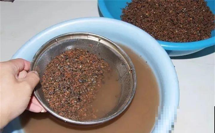 栀子茉莉千万别用这种土，养一盆死一盆！