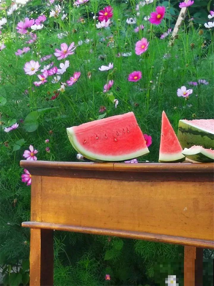 老了以后能干啥？有个小院种种花，悠闲自在！