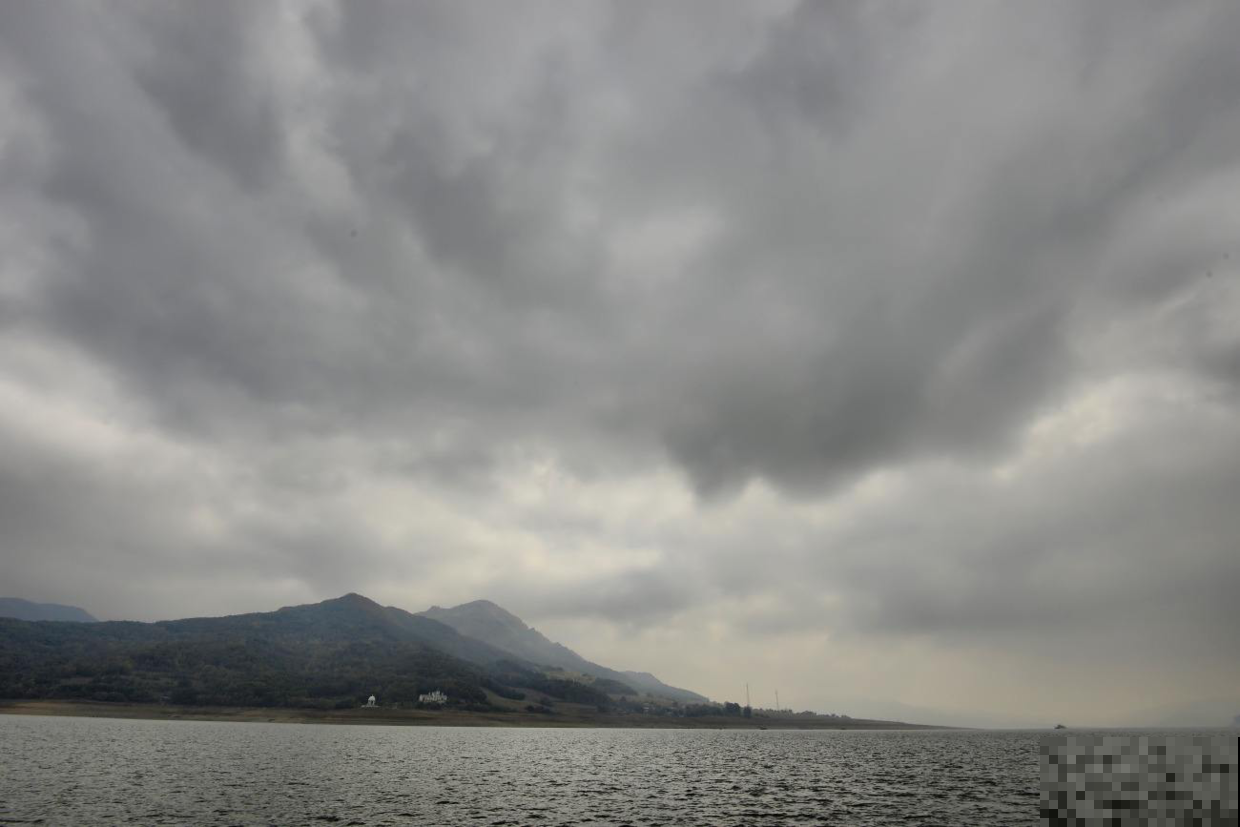 阴雨天养花要当心，这几点做好了，花才不得病、窜得快！